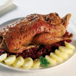 Kachna nebo husa pečená s knedlíkem a se zelím